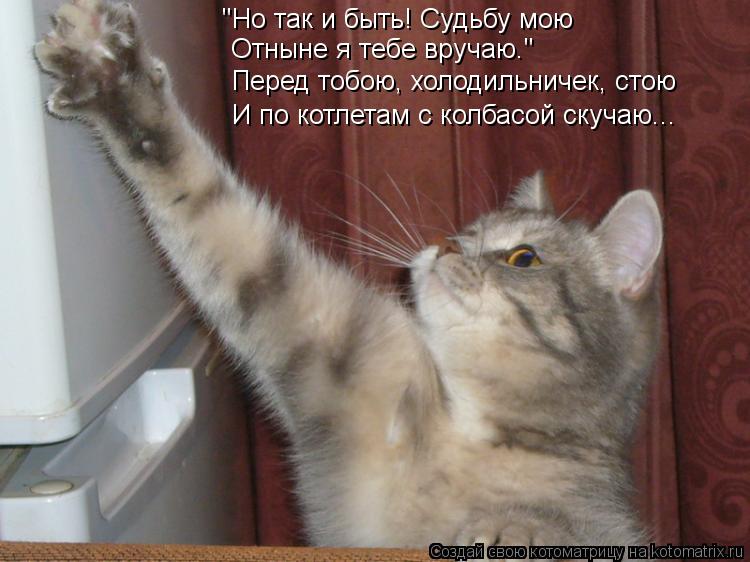 Котоматрица: "Но так и быть! Судьбу мою  Отныне я тебе вручаю." Перед тобою, холодильничек, стою И по котлетам с колбасой скучаю...