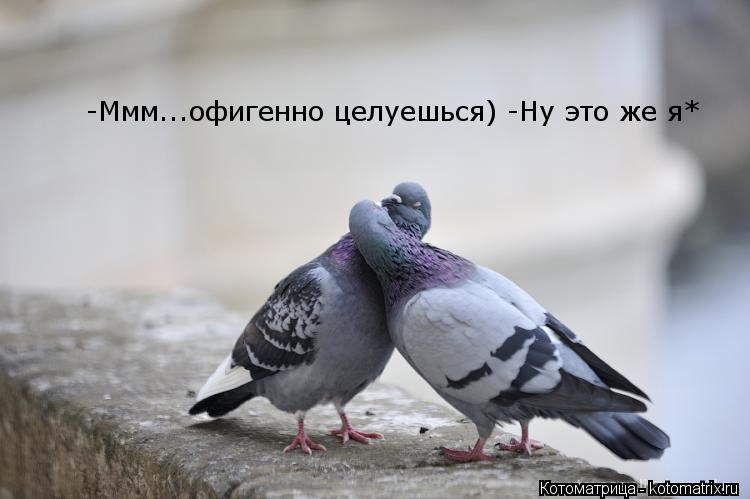 Котоматрица: -Ммм...офигенно целуешься) -Ну это же я*