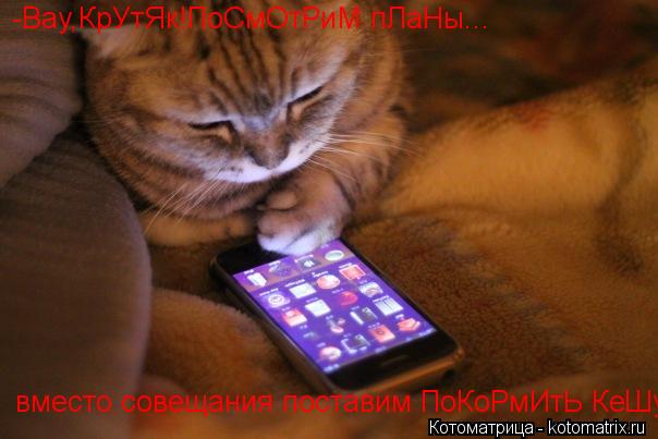 Котоматрица: -Вау,КрУтЯк!ПоСмОтРиМ пЛаНы...  вместо совещания поставим ПоКоРмИтЬ КеШу!!!