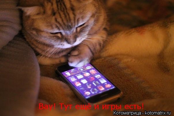 Котоматрица: Вау! Тут ещё и игры есть!