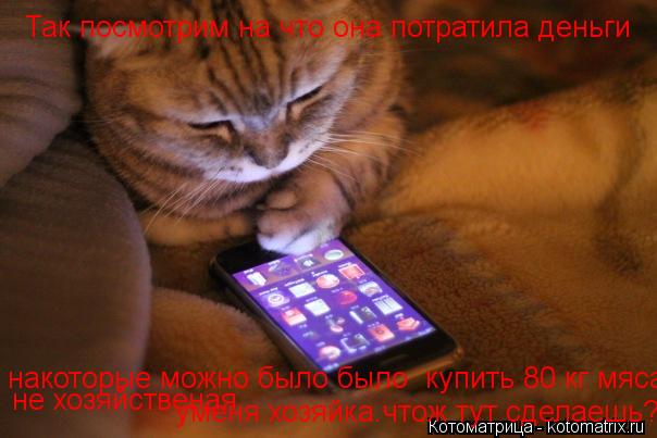 Котоматрица: Так посмотрим на что она потратила деньги накоторые можно было было  купить 80 кг мяса не хозяйственая  уменя хозяйка.чтож тут сделаешь?