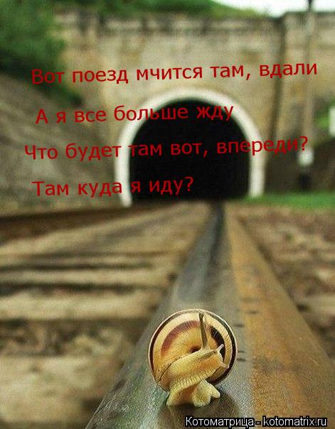 Котоматрица: Вот поезд мчится там, вдали А я все больше жду Что будет там вот, впереди? Там куда я иду?