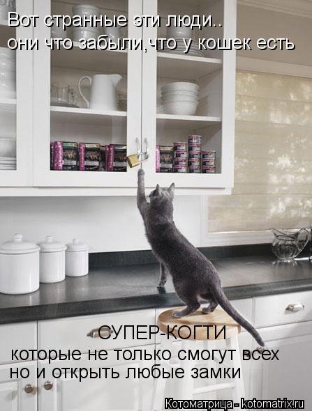 Котоматрица: Вот странные эти люди.. они что забыли,что у кошек есть СУПЕР-КОГТИ которые не только смогут всех  но и открыть любые замки