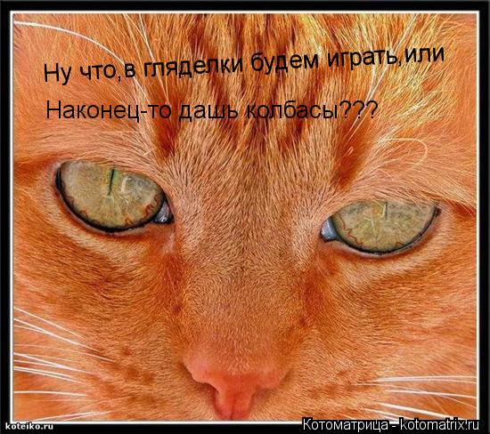 Котоматрица: Ну что,в гляделки будем играть,или Ну что,в гляделки будем играть,или Наконец-то дашь колбасы???