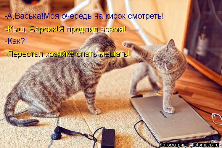 Котоматрица: -А,Васька!Моя очередь на кисок смотреть! -Кыш, Барсик!Я продлил время! -Как?! -Перестал хозяйке спать мешать!