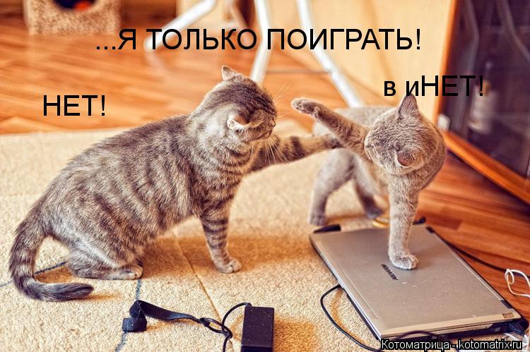 Котоматрица: ...Я ТОЛЬКО ПОИГРАТЬ! НЕТ! в иНЕТ!