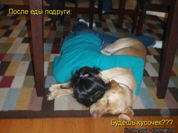 Котоматрица: Будешь кусочек??? После еды подруги:
