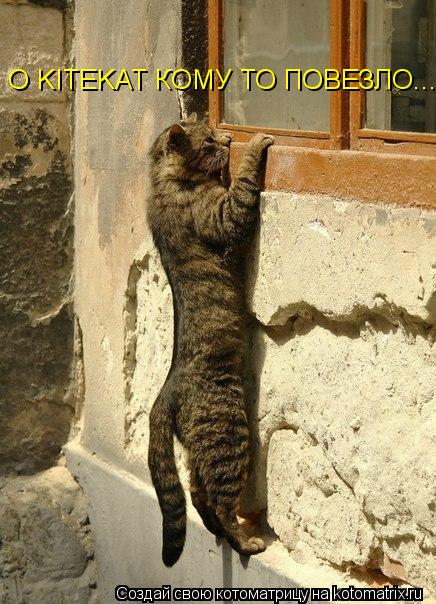 Котоматрица: О KITEKAT КОМУ ТО ПОВЕЗЛО...