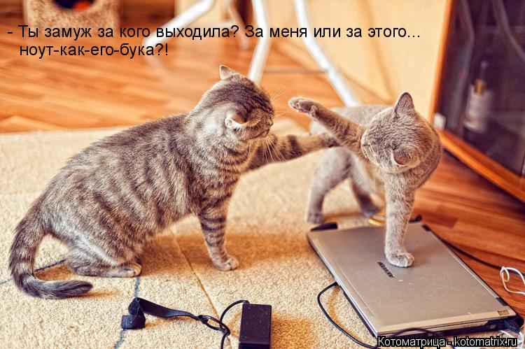 Котоматрица: - Ты замуж за кого выходила? За меня или за этого...  ноут-как-его-бука?!