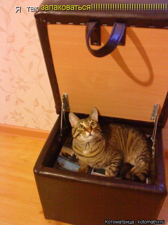 Котоматрица: Я  так запаковаться!!!!!!!!!!!!!!!!!!!!!!!!!!!!!!!!!!!!