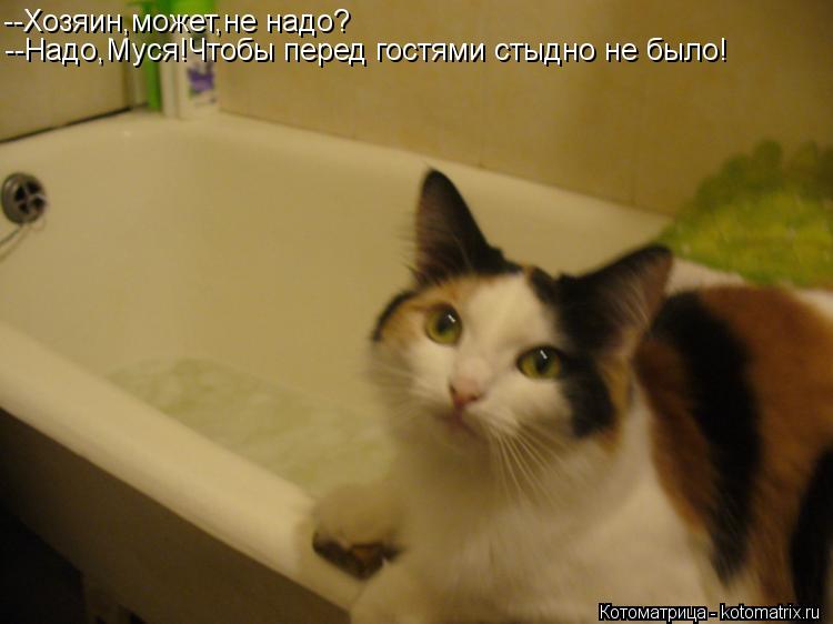 Котоматрица: --Хозяин,может,не надо? --Надо,Муся!Чтобы перед гостями стыдно не было!
