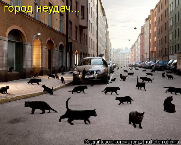 Котоматрица: город неудач...