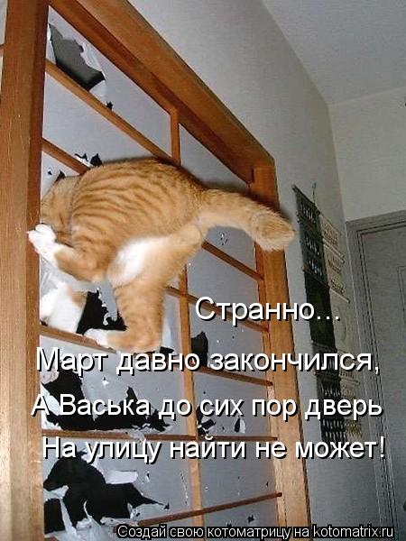 Котоматрица: А Васька до сих пор дверь На улицу найти не может! Март давно закончился, Странно...