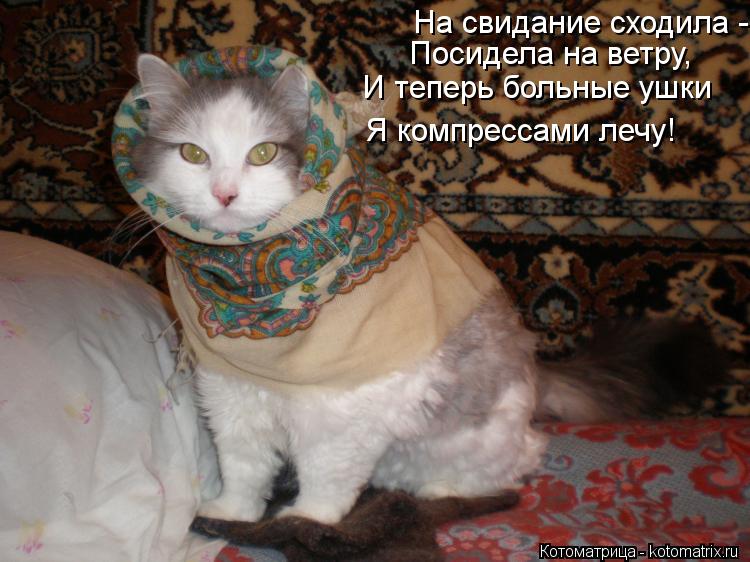Котоматрица: На свидание сходила - Посидела на ветру, И теперь больные ушки Я компрессами лечу!