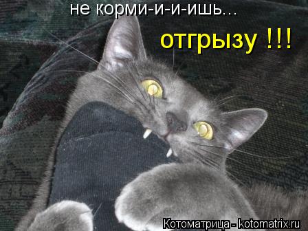 Котоматрица: не корми-и-и-ишь... отгрызу !!!
