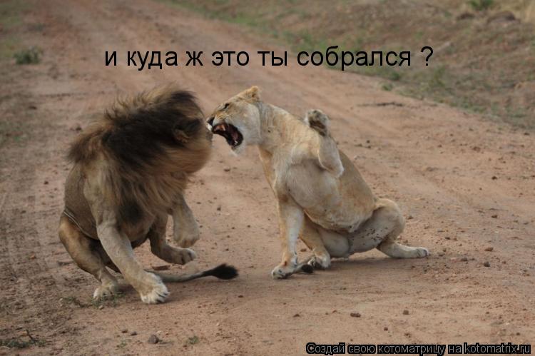 Йога и ЛФК индивидуально: йогатерапия, йога для женщин, йога Итоги конкурса репостов - Блог Дарья Сойфер