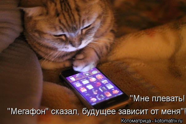 Котоматрица: "Мне плевать! "Мегафон" сказал, будущее зависит от меня"!