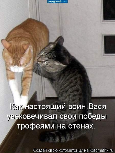 Как настоящий воин,Вася увековечивал свои победы трофеями на стенах.... Котоматрица: Как настоящий воин,Вася увековечивал свои победы трофеями на стенах.