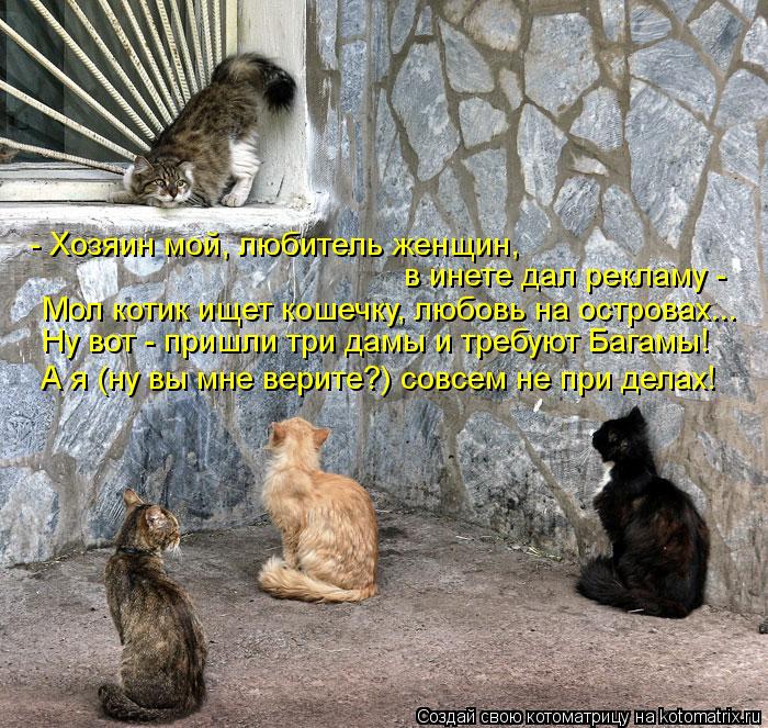 - Хозяин мой, любитель женщин, в инете дал рекламу - Mол котик ищет кошечку, любовь на островах... ... Котоматрица: - Хозяин мой, любитель женщин, в инете дал рекламу - Mол котик ищет кошечку, любовь на островах... Ну вот - пришли три дамы и требуют Багамы! А я