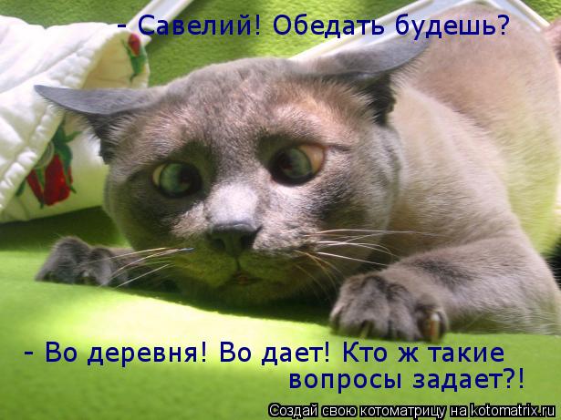 - Савелий! Обедать будешь? - Во деревня! Во дает! Кто ж такие вопросы задает?!... Котоматрица: - Савелий! Обедать будешь? - Во деревня! Во дает! Кто ж такие вопросы задает?!