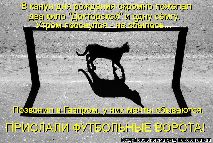 В канун дня рождения скромно пожелал два кило "Докторской" и одну сёмгу. Утром проснулся - не сбыло... Котоматрица: В канун дня рождения скромно пожелал два кило "Докторской" и одну сёмгу. Утром проснулся - не сбылось... Позвонил в Газпром, у них мечты сбыва
