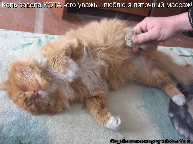 Котоматрица: Коль завела КОТА -его уважь...люблю я пяточный массаж!