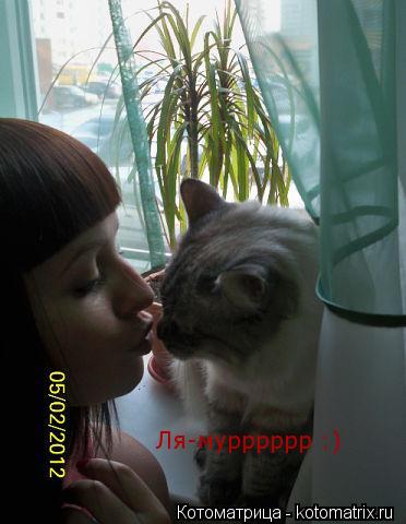 Котоматрица: Ля-мурррррр :)