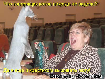 Котоматрица: Что говорящих котов никогда не видела? Да я еще и крестиком вышивать могу!
