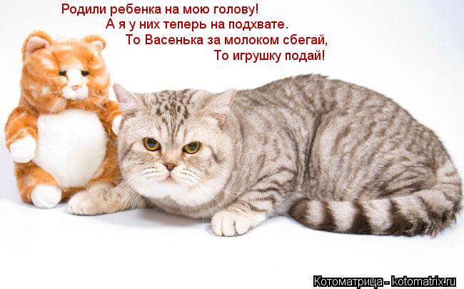 Котоматрица: Родили ребенка на мою голову! А я у них теперь на подхвате.  То Васенька за молоком сбегай, То игрушку подай!