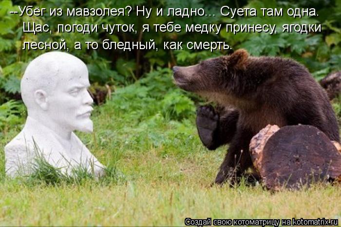 Котоматрица: --Убёг из мавзолея? Ну и ладно... Суета там одна.  Щас, погоди чуток, я тебе медку принесу, ягодки  лесной, а то бледный, как смерть.