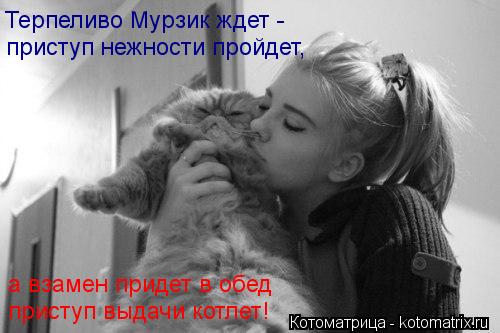 Котоматрица: приступ нежности пройдет, Терпеливо Мурзик ждет -  а взамен придет в обед приступ выдачи котлет!