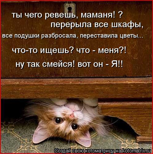 Котоматрица: что-то ищешь? что - меня?! ты чего ревешь, маманя! ? перерыла все шкафы, все подушки разбросала, переставила цветы... ну так смейся! вот он - Я!!