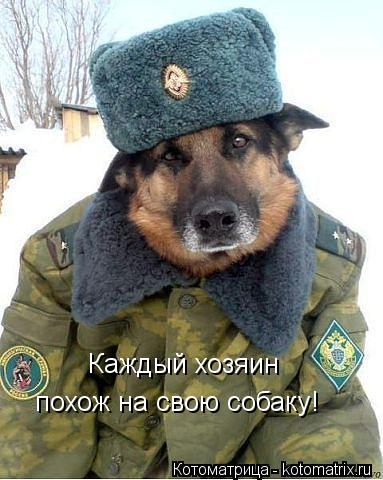 Котоматрица: Каждый хозяин похож на свою собаку!