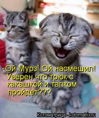 Котоматрица: Ой Мурз! Ой насмешил! Уверен что трюк с  какашкой и тапком  пройдёт??? -