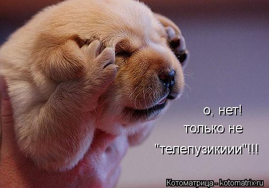 Котоматрица: о, нет! только не "телепузикиии"!!!