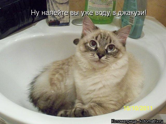 Котоматрица: Ну налейте вы уже воду в джакузи!