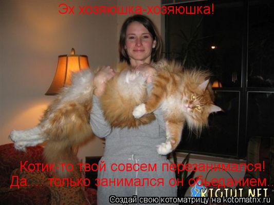 Котоматрица: Эх хозяюшка-хозяюшка! Котик-то твой совсем перезанимался! Да.... только занимался он обьеданием...