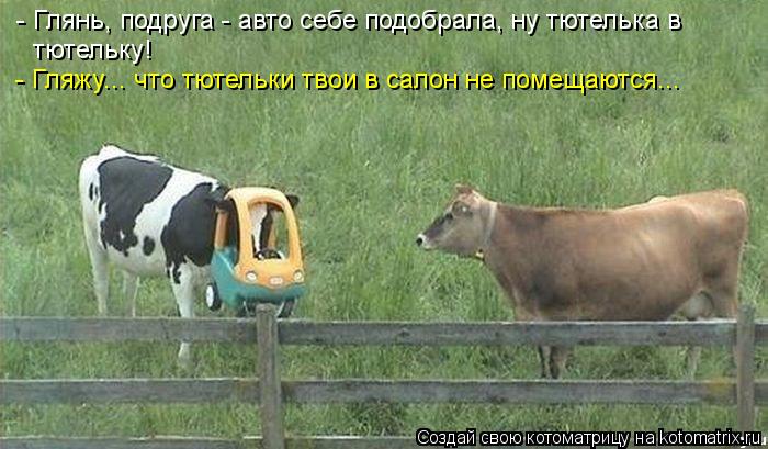 Котоматрица: - Глянь, подруга - авто себе подобрала, ну тютелька в  тютельку! - Гляжу... что тютельки твои в салон не помещаются...