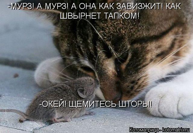 Котоматрица: -МУРЗ! А МУРЗ! А ОНА КАК ЗАВИЗЖИТ! КАК  ШВЫРНЕТ ТАПКОМ! -ОКЕЙ! ЩЕМИТЕСЬ ШТОРЫ!