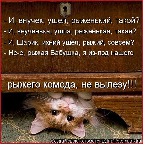 Котоматрица: - И, внучек, ушел, рыженький, такой? - И, внученька, ушла, рыженькая, такая? - И, Шарик, ихний ушел, рыжий, совсем? - Не-е, рыжая Бабушка, я из-под наш
