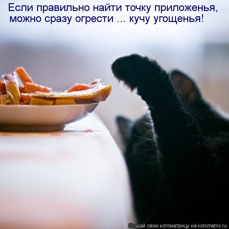 Если правильно найти точку приложенья, можно сразу огрести ... кучу угощенья!... Котоматрица: Если правильно найти точку приложенья, можно сразу огрести ... кучу угощенья!