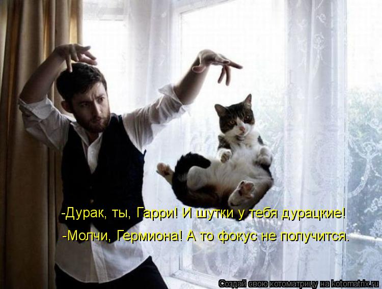 Котоматрица: -Дурак, ты, Гарри! И шутки у тебя дурацкие! -Молчи, Гермиона! А то фокус не получится.