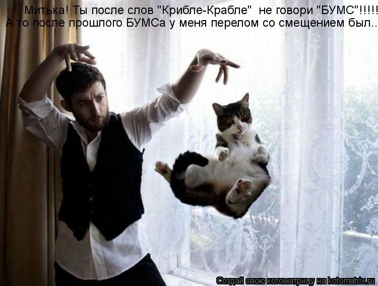 Котоматрица: Митька! Ты после слов "Крибле-Крабле"  не говори "БУМС"!!!!! А то после прошлого БУМСа у меня перелом со смещением был...