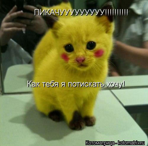 Котоматрица: ПИКАЧУУУУУУУУУ!!!!!!!!!! Как тебя я потискать хочу!