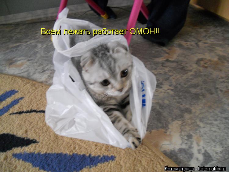 Котоматрица: Всем лежать работает ОМОН!!