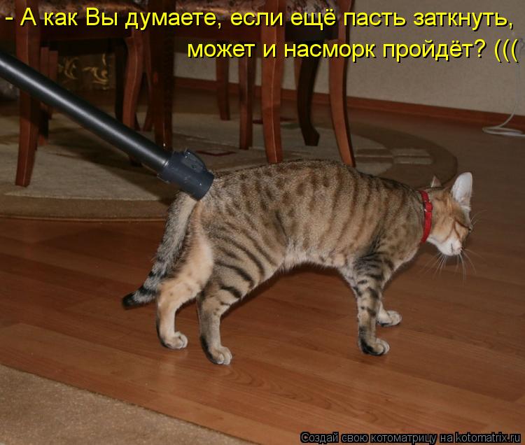 - А как Вы думаете, если ещё пасть заткнуть, может и насморк пройдёт? (((... Котоматрица: - А как Вы думаете, если ещё пасть заткнуть, может и насморк пройдёт? (((