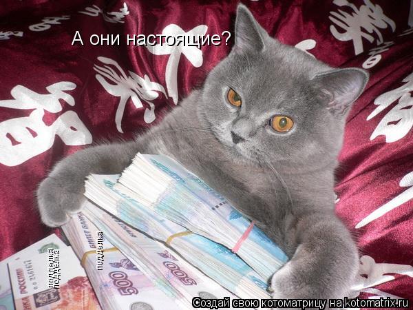 А они настоящие? подделка подделка подделка... Котоматрица: А они настоящие? подделка подделка подделка