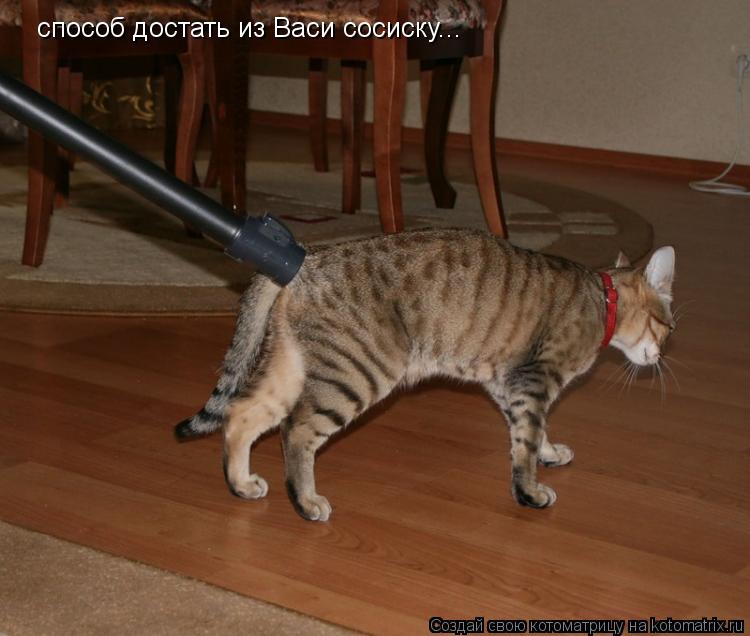 способ достать из Васи сосиску...... Котоматрица: способ достать из Васи сосиску...