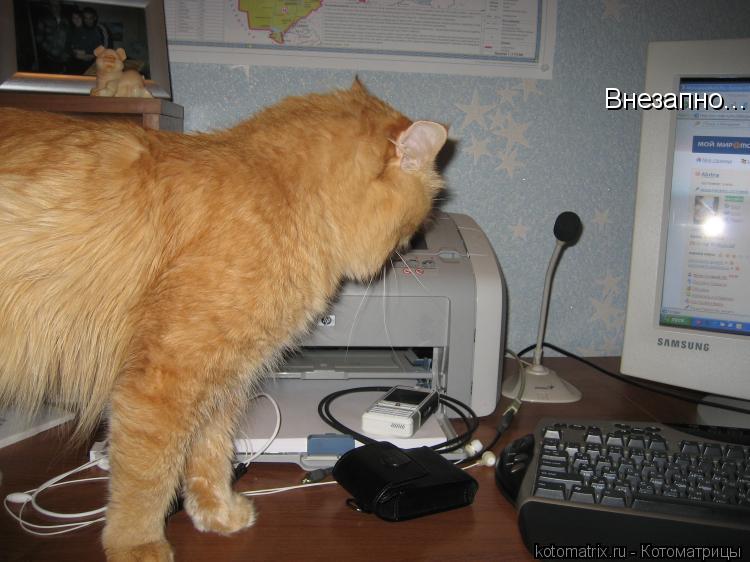 Внезапно...... Котоматрица: Внезапно...