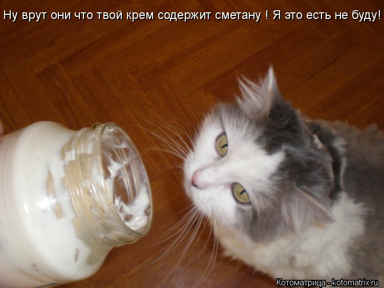 Ну врут они что твой крем содержит сметану ! Я это есть не буду!... Котоматрица: Ну врут они что твой крем содержит сметану ! Я это есть не буду!